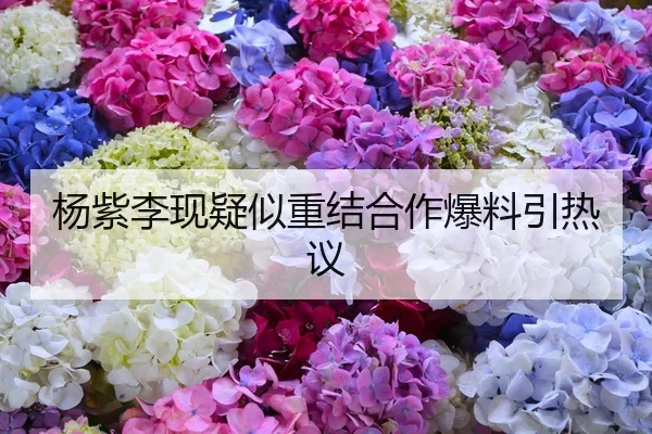 杨紫李现疑似重结合作爆料引热议